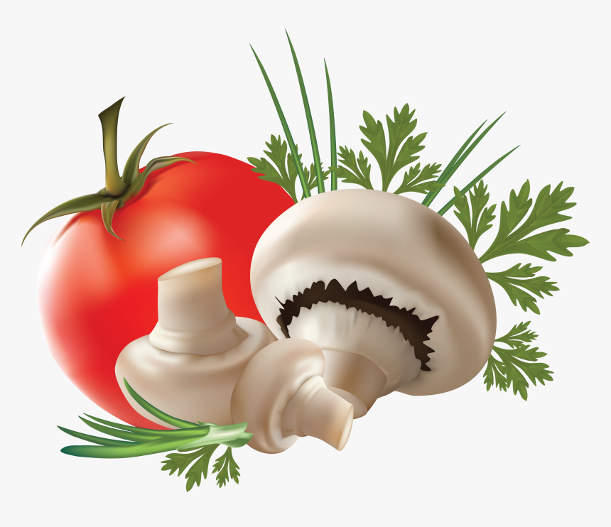 Mushroom Png Image - Transparent Background Fruit And Vegetable Png, Png Download, Free Download