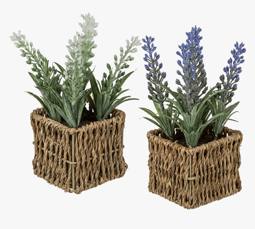 Flowerpot, HD Png Download, Free Download