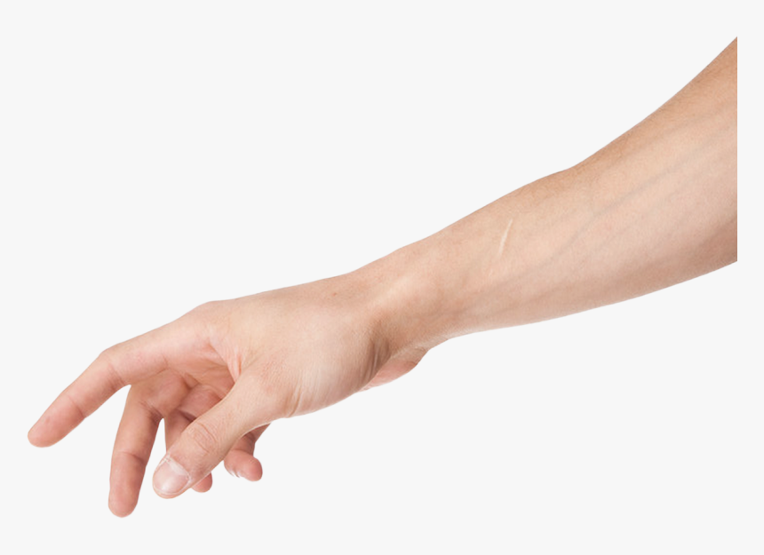 Download Arm Png Clipart - Transparent Arm Png, Png Download, Free Download