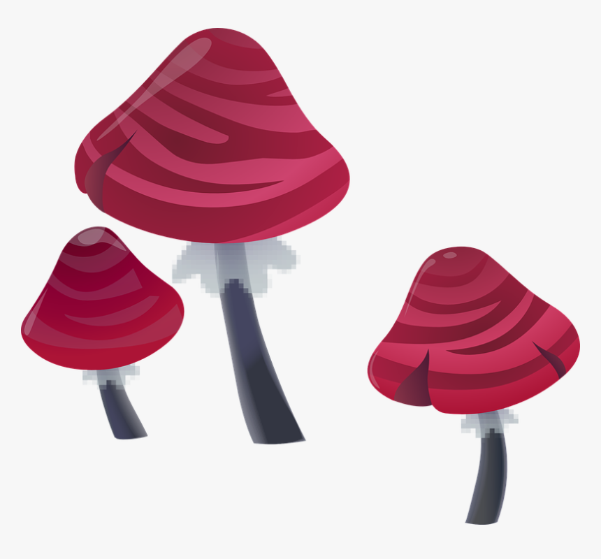 Transparent Magic Mushroom Clipart - Mushroom, HD Png Download, Free Download