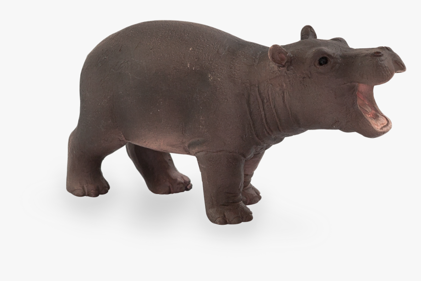 Picclick Safari Ltd Pygmy Hippo, HD Png Download, Free Download