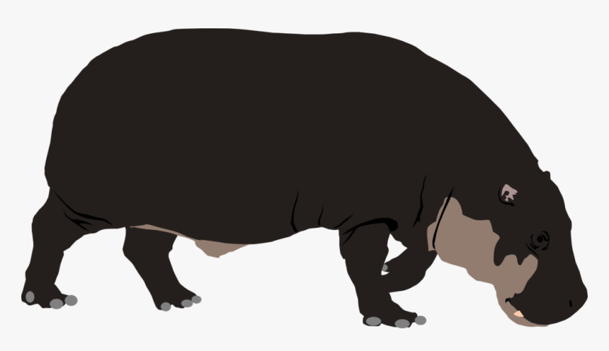 Pygmy Hippopotamus By Michell - Hippopotamus, HD Png Download, Free Download