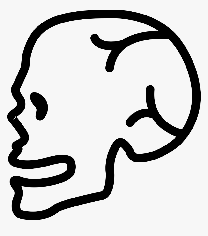 Human Skull Side View - Side Skull Icon Png, Transparent Png, Free Download