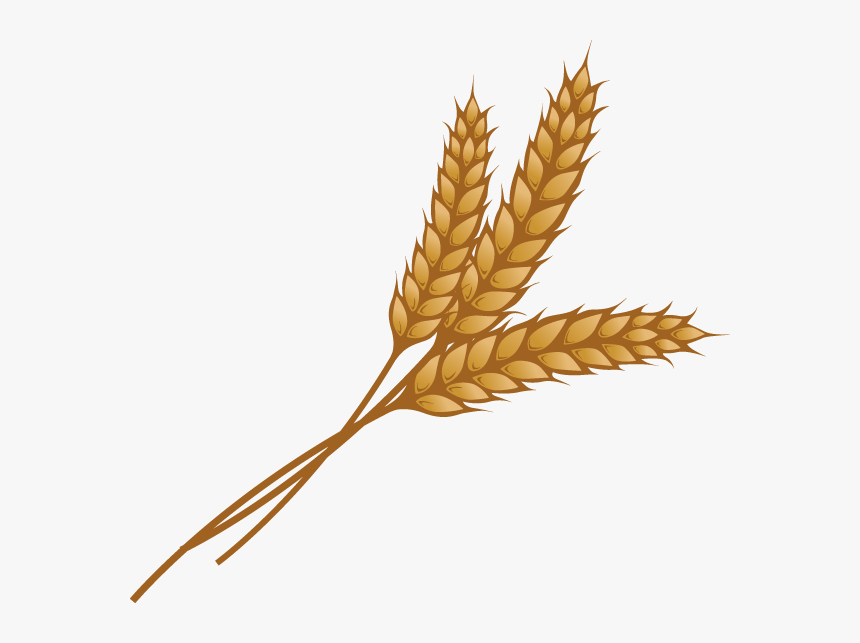 Grain Png Image - Clip Art Wheat Grain, Transparent Png, Free Download