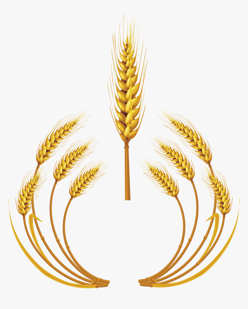 Wheat Logo Png Image - Wheat Png, Transparent Png, Free Download