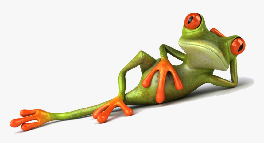 Animation Company In Bangalore - Frog, HD Png Download, Free Download