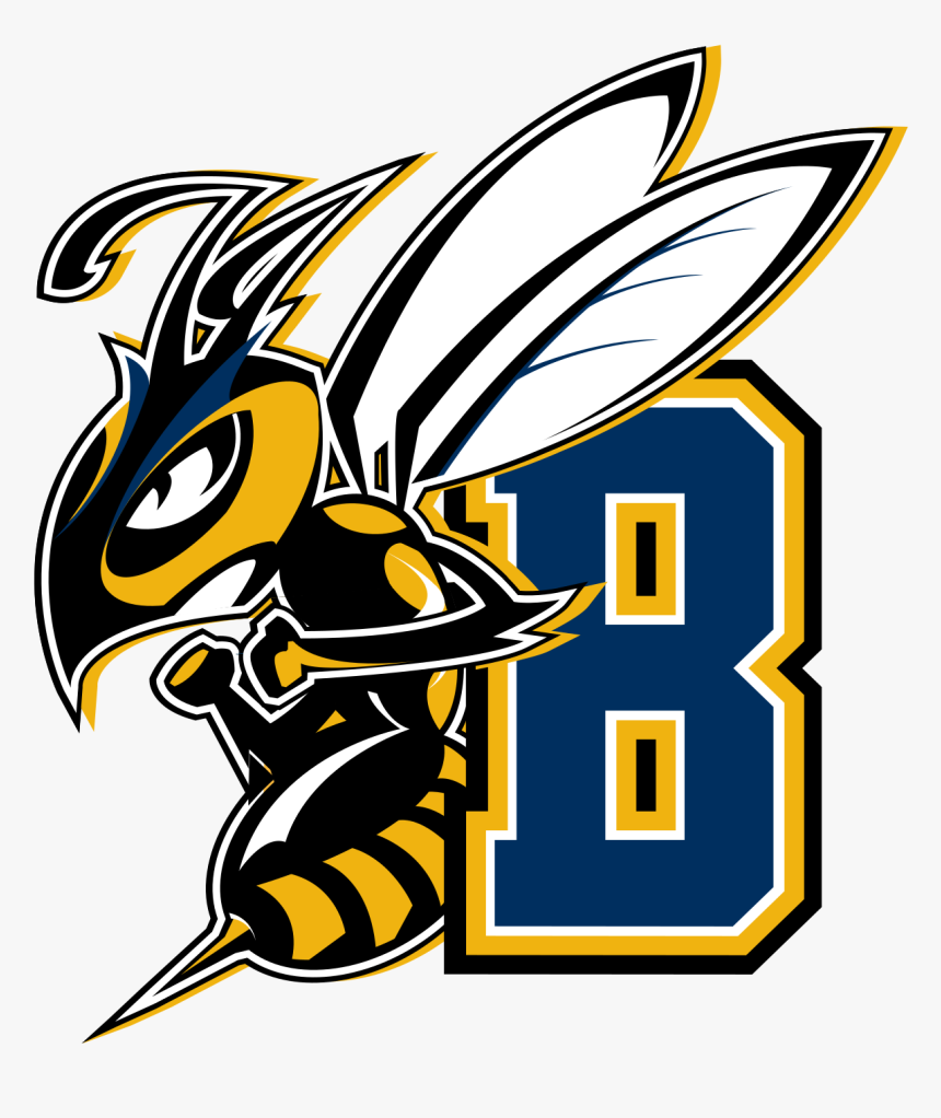 Msu Billings Yellowjackets, HD Png Download, Free Download