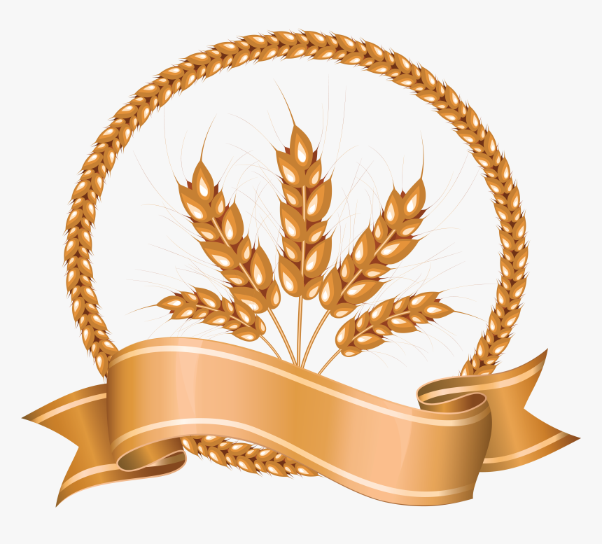 Wheat Png - Png Images Wheat Png, Transparent Png, Free Download