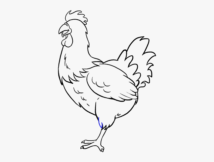 How To Draw Chicken - Chicken Drawing Easy, HD Png Download, Free Download