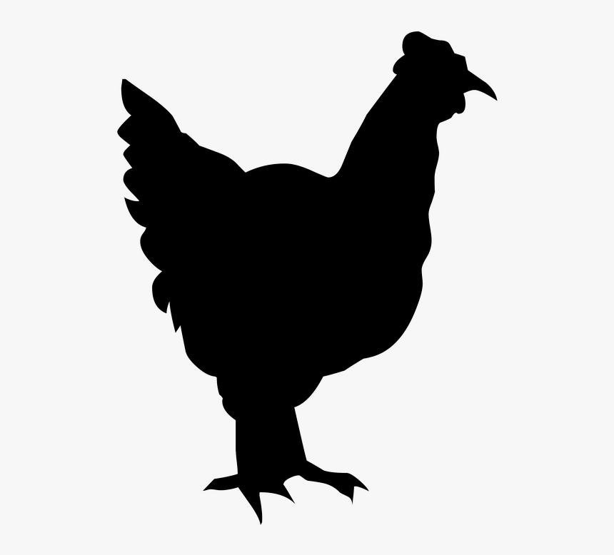 Silhouette, Drawing, Outline, Chicken, Poultry, Nature - Chicken Cartoon Outline, HD Png Download, Free Download