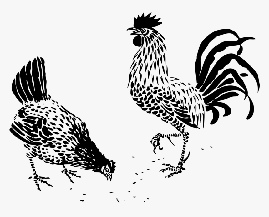 Art,livestock,fowl - Black And White Chicken Designs, HD Png Download, Free Download