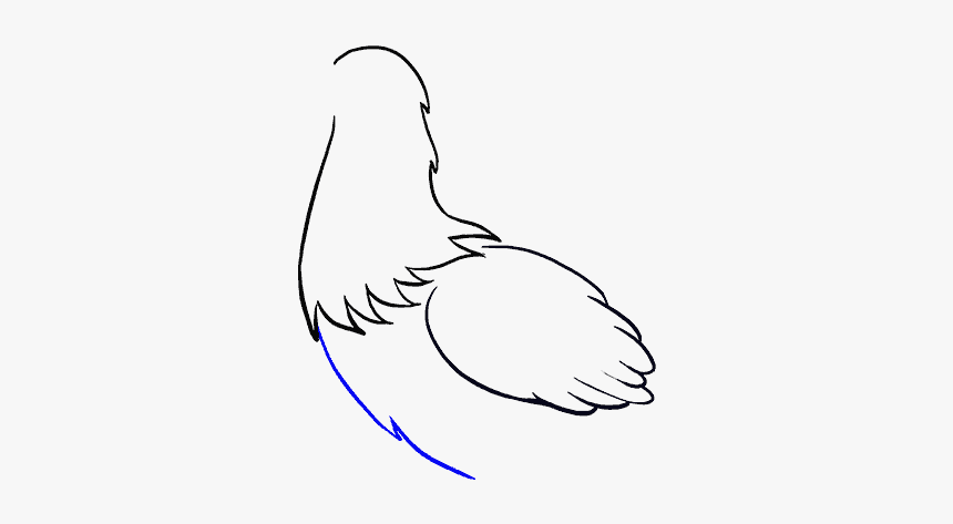 How To Draw Chicken - Easy How To Draw A Chicken, HD Png Download, Free Download