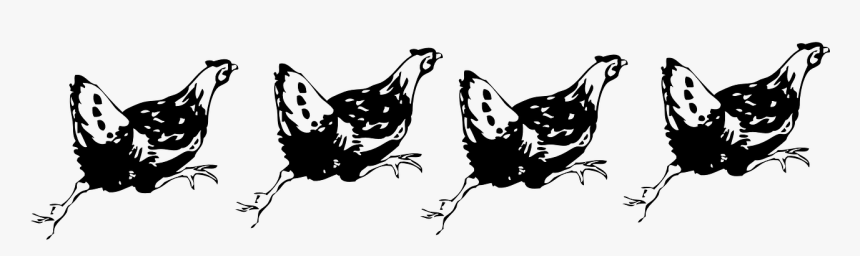 Hen Clip Art, HD Png Download, Free Download