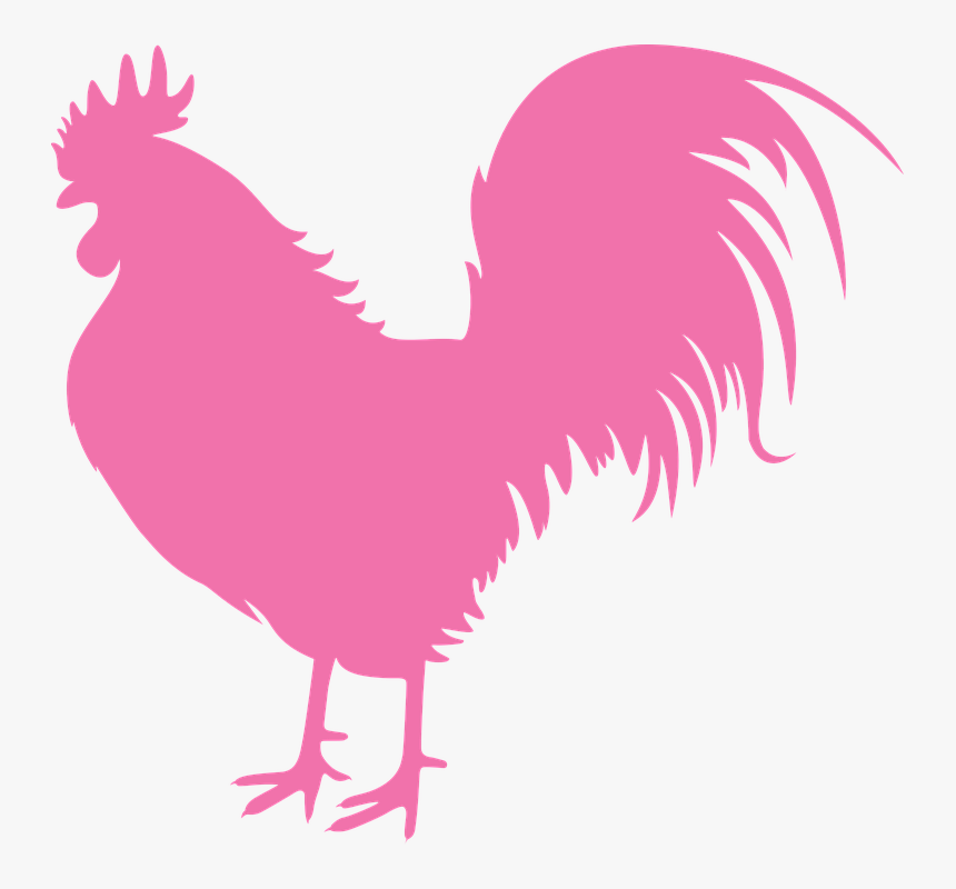 Cock, New Year Vector, Symbol, Pink, Vector, Drawing - Cock Rooster Vector Png, Transparent Png, Free Download