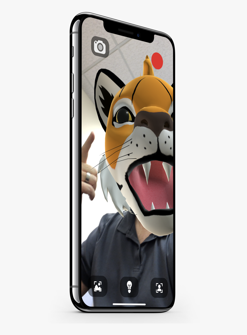 Transparent Present Emoji Png - Tiger, Png Download, Free Download