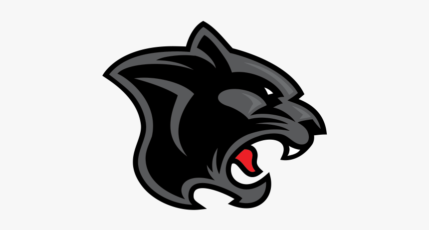 Black Panther Leopard Cougar - Douglas High School Rochester Ny, HD Png Download, Free Download