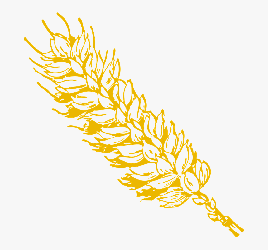 Wheat Grain Clip Art - Wheat Clip Art, HD Png Download, Free Download