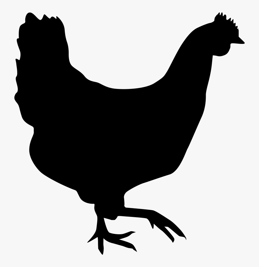 Rooster Chicken Silhouette Hen Drawing - Transparent Chicken Silhouette Png, Png Download, Free Download