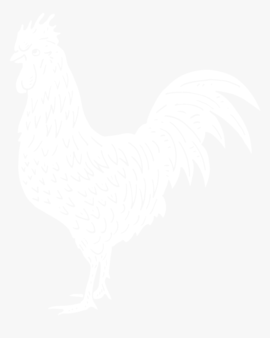 New Hampshire Chicken Drawing, HD Png Download, Free Download