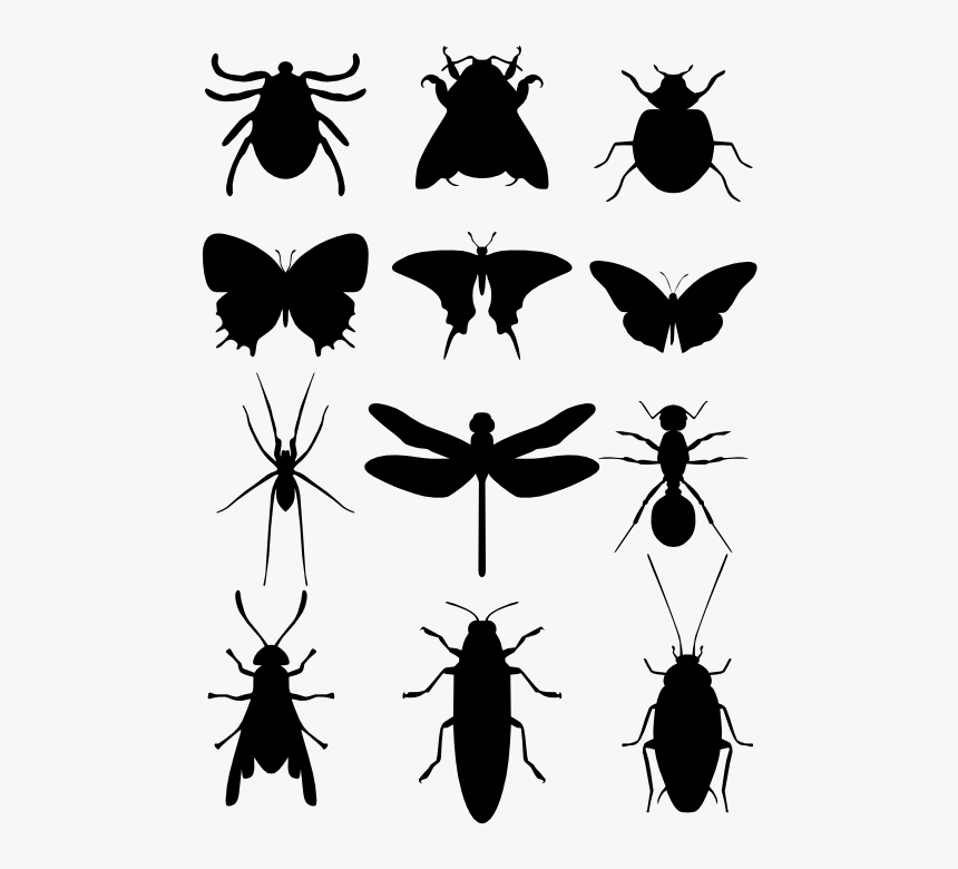 Moscas, Mosquitos E Baratas - Insects Silhouette, HD Png Download, Free Download