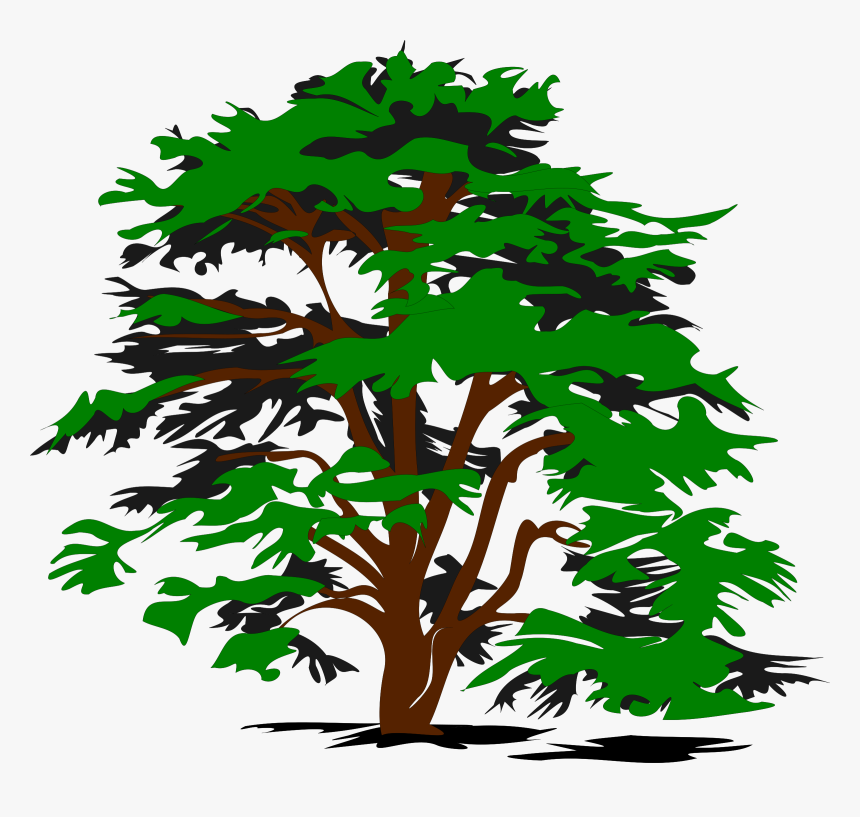 Simple Vector Tree Clip Arts - Cedar Tree Clip Art, HD Png Download, Free Download