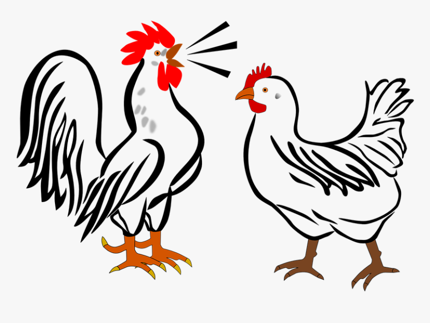 Hen Clipart PNG Images, Vector Painted Old Hen, Hen Clipart, Vector, Hand  Painted PNG Image For Free Download