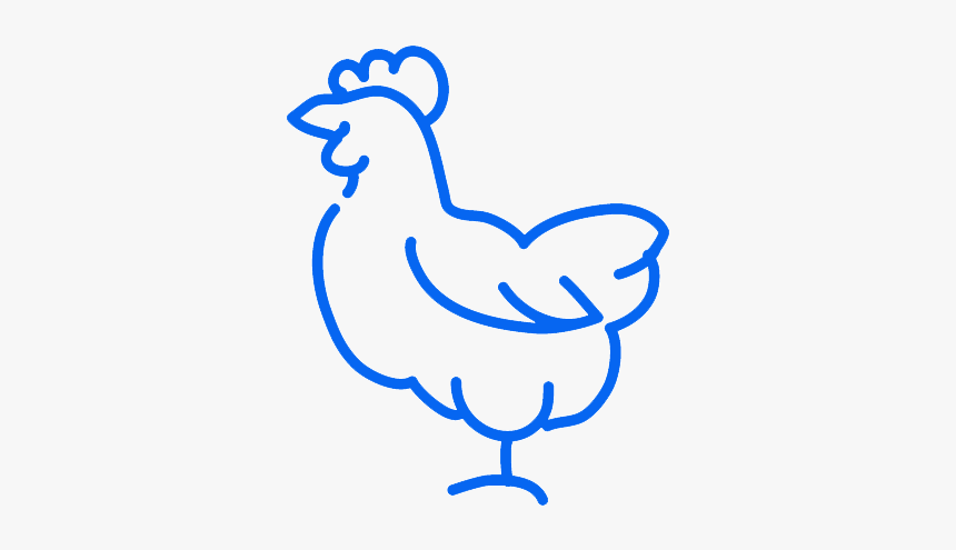 Chicken, HD Png Download, Free Download