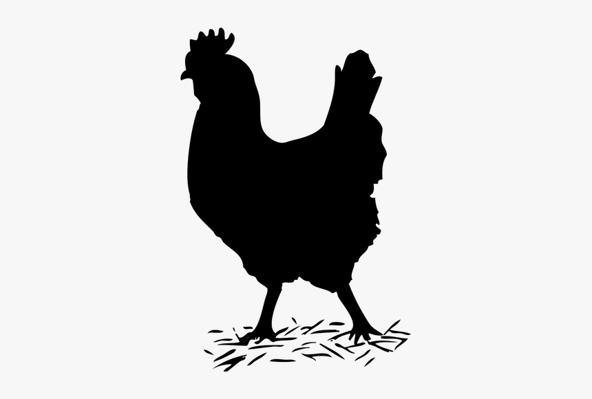 Chicken Silhouette Vector Illustration - Hen Black And White, HD Png Download, Free Download