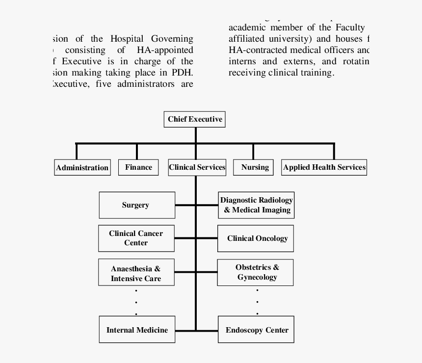 Organizational Chart For Oncology, HD Png Download, Free Download