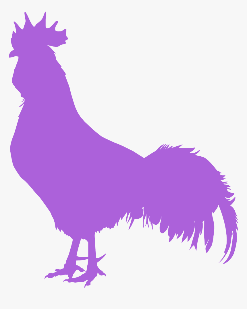 Silueta De Un Gallo, HD Png Download, Free Download