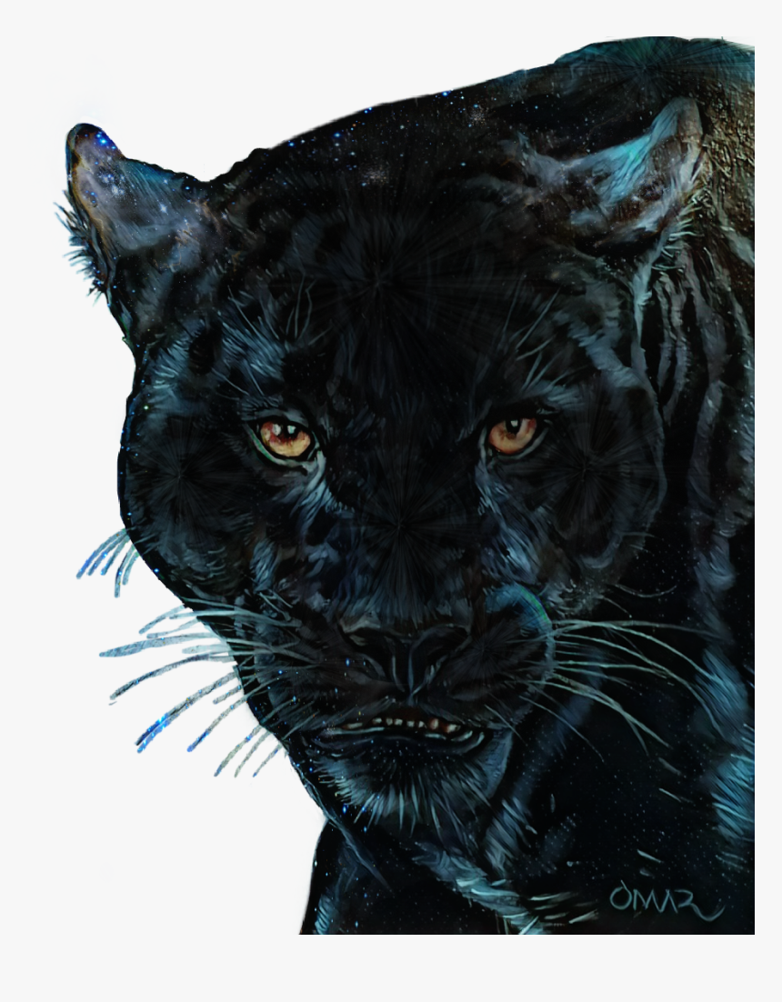 #panther #black #blackpanther - Jaguar, HD Png Download, Free Download