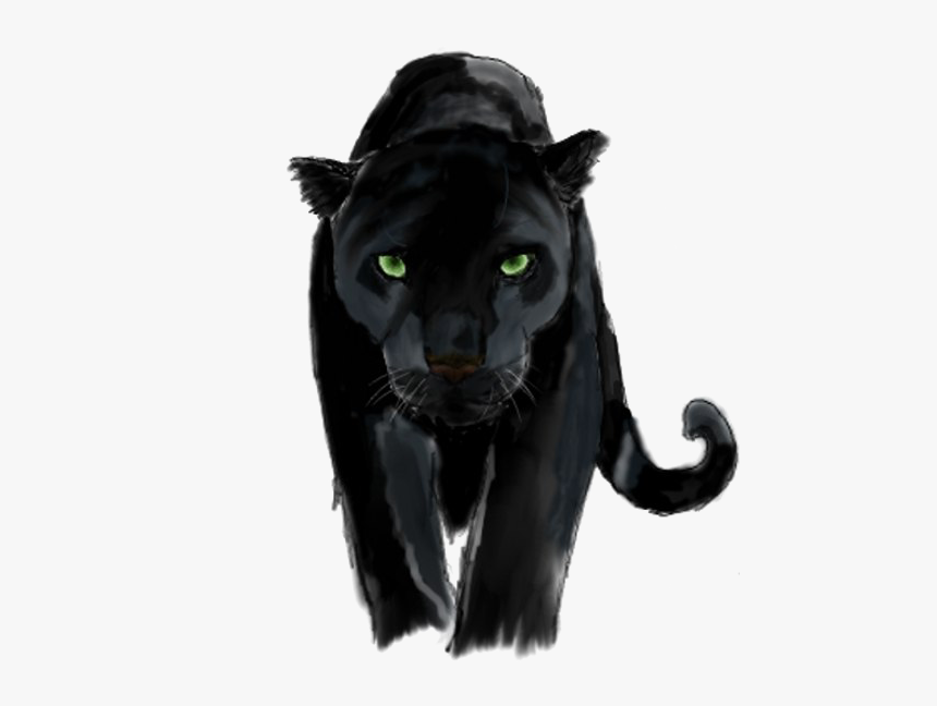 Panther Png Background Image - Transparent Background Panther Transparent, Png Download, Free Download