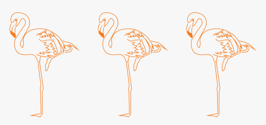 Florida Native Bird - Greater Flamingo, HD Png Download, Free Download