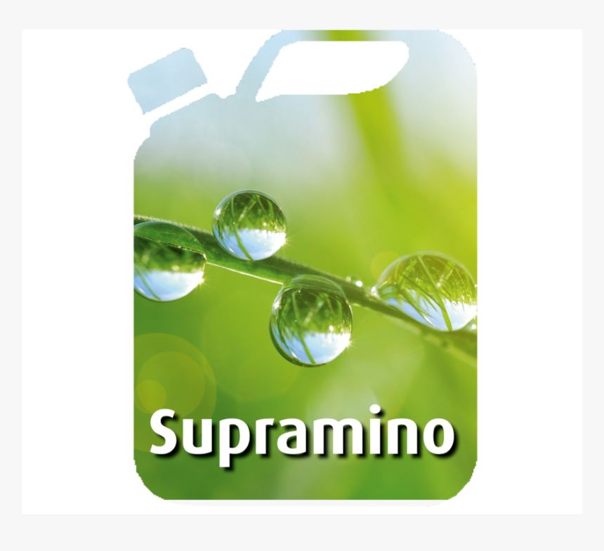 Supramino Can - University Of Kent, HD Png Download, Free Download