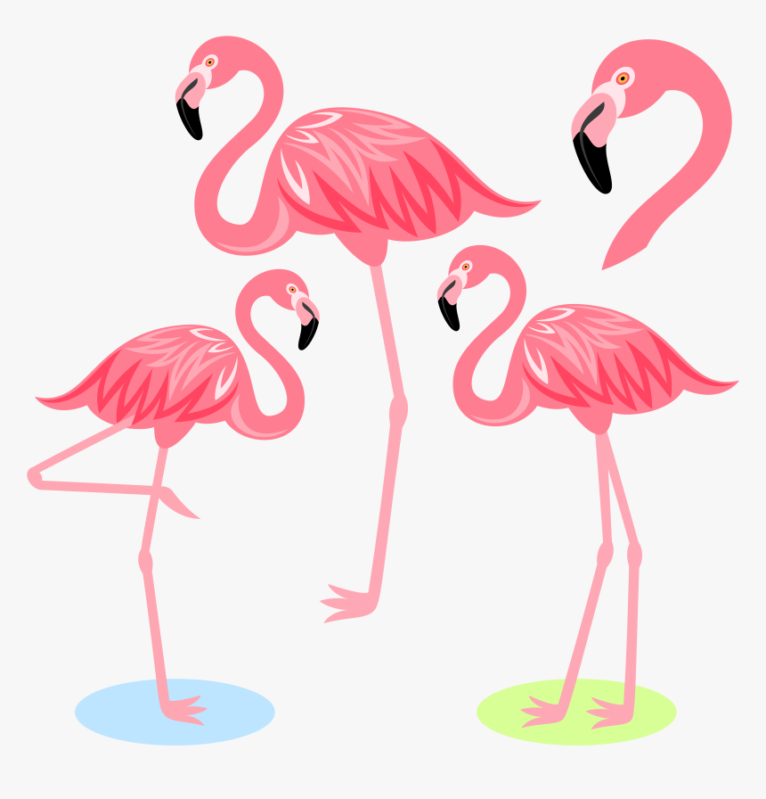 Flamingo Bird Illustration Cartoon Free Frame Clipart - Clipart Flamingo Png, Transparent Png, Free Download