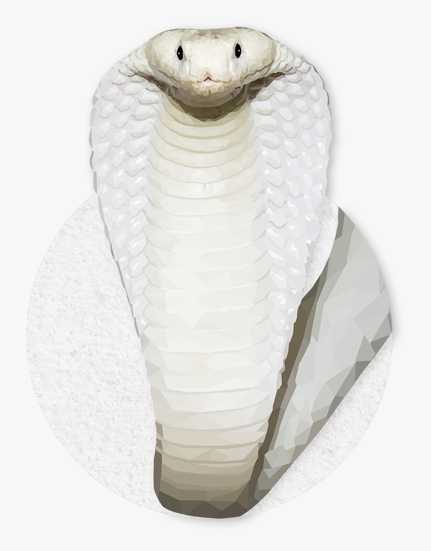 Emmasimoncic - Tumblr - Com - Low Poly White Cobra - Indian Cobra, HD Png Download, Free Download