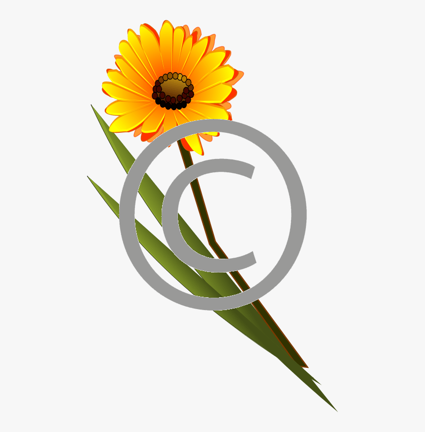 Flower Clip Art, HD Png Download, Free Download