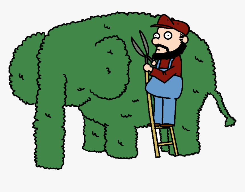 Timmy Failure Wiki - Cartoon, HD Png Download, Free Download