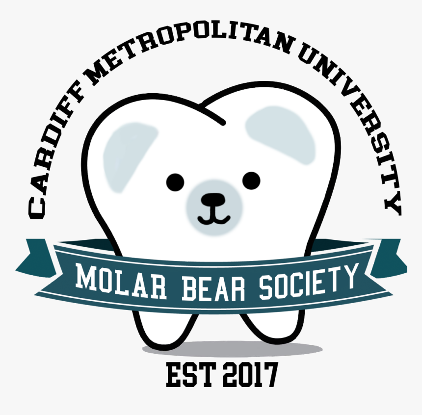 Molar Bears Logo, HD Png Download, Free Download