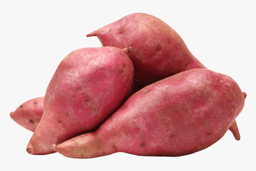Transparent Yams Png - Sweet Potato Images Hd, Png Download, Free Download