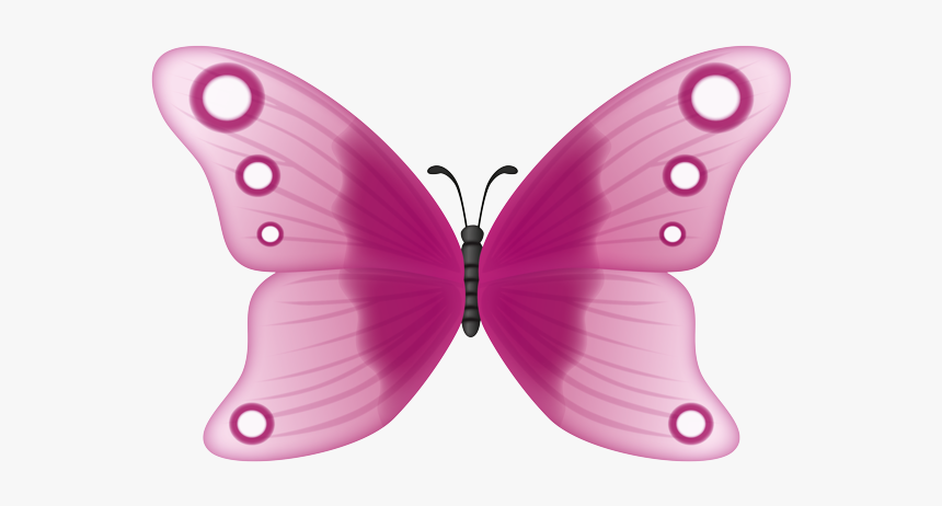 Brush-footed Butterfly, HD Png Download, Free Download