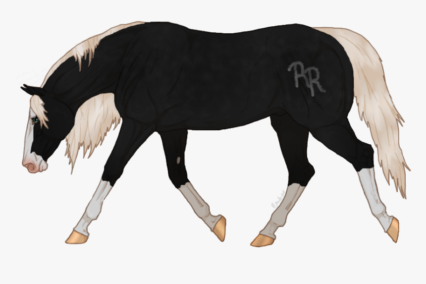 Pharaoh - Stallion, HD Png Download, Free Download