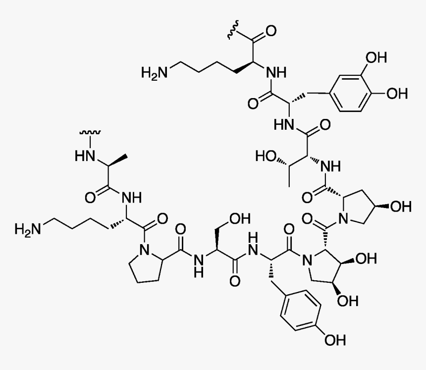 Area Of Interest - Oxytocin Molecule Png, Transparent Png, Free Download