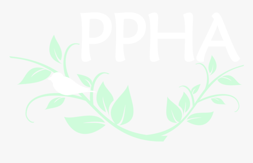 Vine Border Png , Png Download - Illustration, Transparent Png, Free Download