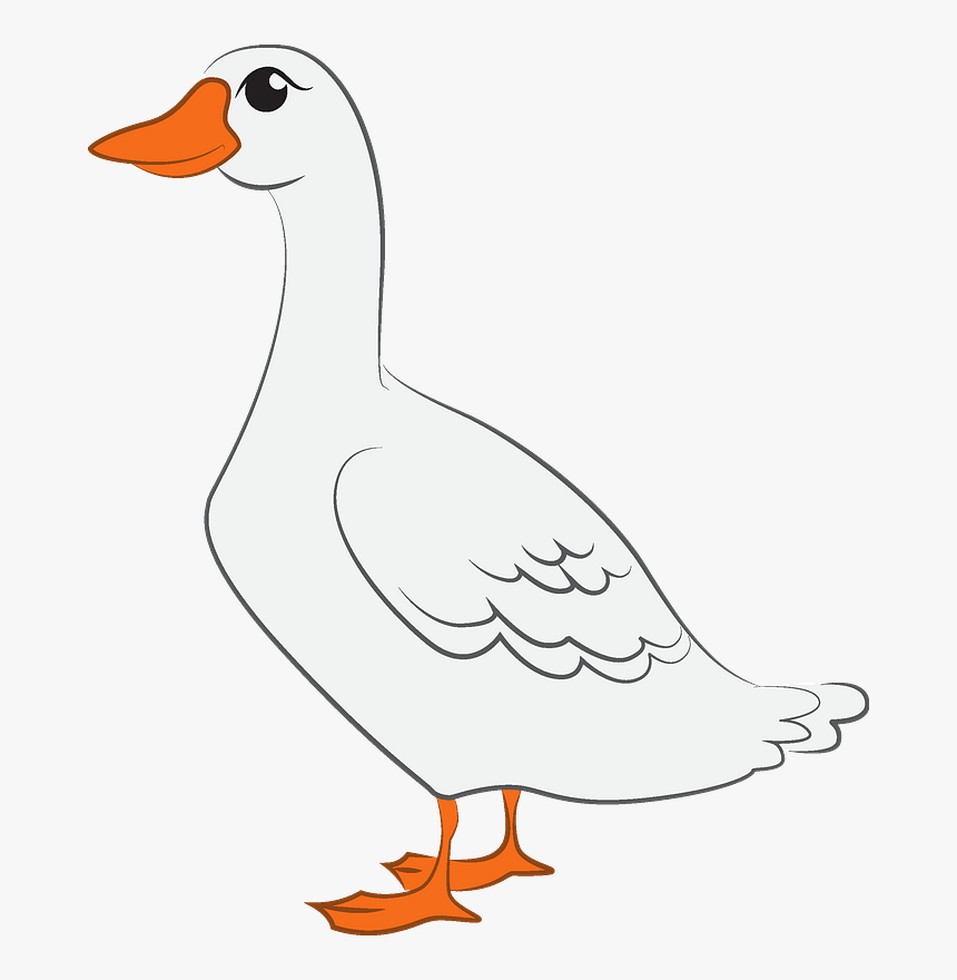 Duck Clipart - Duck, HD Png Download, Free Download