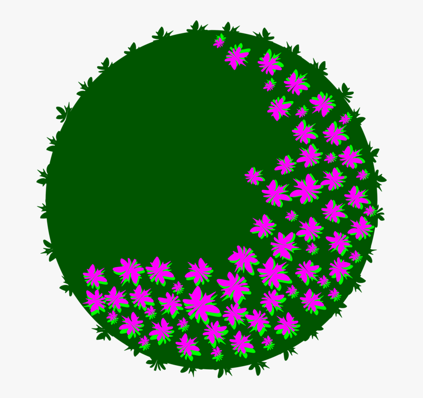Plant,flower,circle - Circle, HD Png Download, Free Download