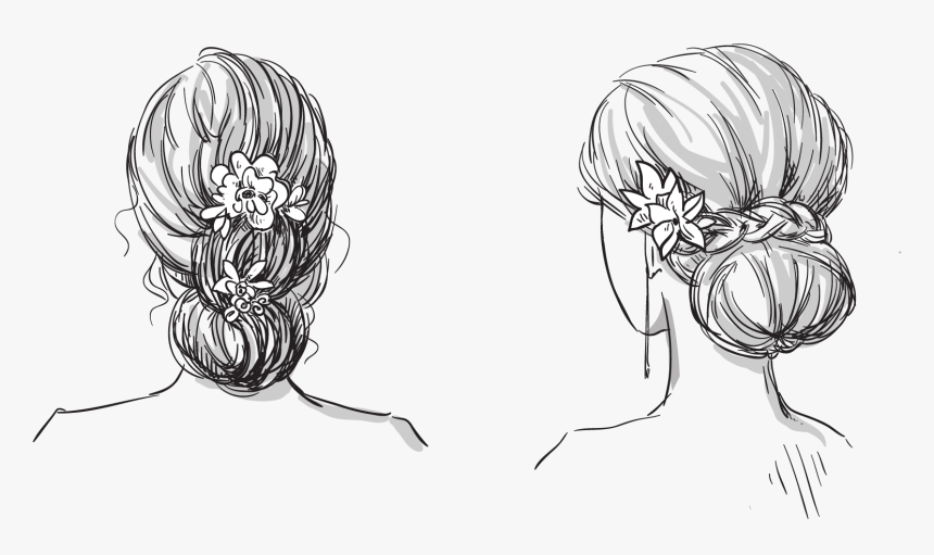 Drawn Braid Face Hair - Bun Hairstyles Drawing, HD Png Download, Free Download