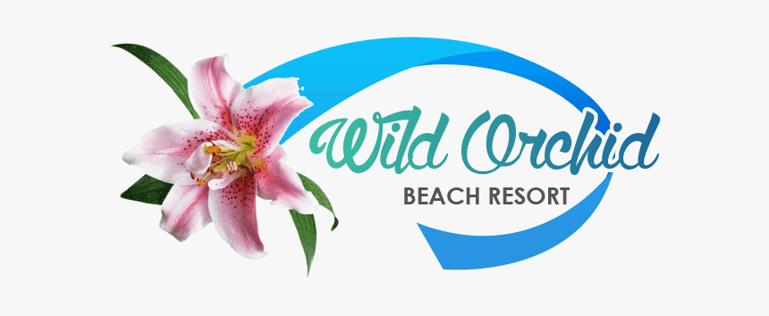 Wild Orchid Beach Resort, Inc - Stargazer Lily Clipart, HD Png Download, Free Download