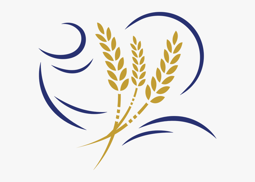 The Curved Lines To The Left Of The Wheat Represent - Dessin Épis De Blé, HD Png Download, Free Download