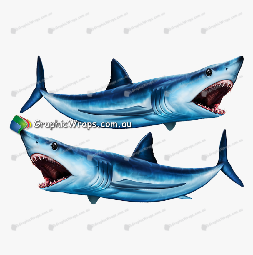 Great White Shark , Png Download - Great White Shark, Transparent Png, Free Download